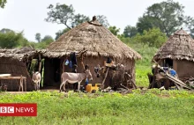 Afryka, Mali : Ponad 100 osób zabitych w Ogossagou.