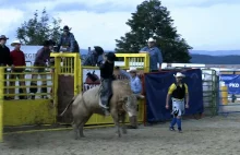 Bull Riding po raz pierwszy w Polsce