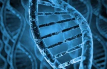 Odtworzono DNA człowieka z XIX wieku bez pobierania tkanki