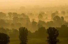 Saharyjski pył nad Polską. Problem dla alergików i właścicieli aut