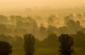 Saharyjski pył nad Polską. Problem dla alergików i właścicieli aut