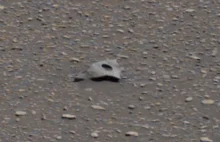 Na nowych zdjęciach z Marsa widać dziwny obiekt, który może być reliktem...