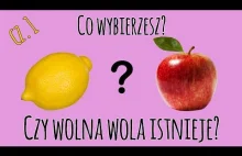 Czy wolna wola istnieje? (cz. 1)