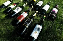Czy da się kupić dobre wino do 15 zł? Przegląd czerwonych win z marketów.