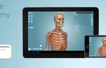 Interactive 3D Human Anatomy | Explore Human Body