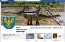 Internauta pod ostrzałem urzędników z Opola. Za profil na FB