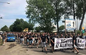 Węgierscy kibice protestowali przeciwko cygańskiej przemocy wobec zwierząt