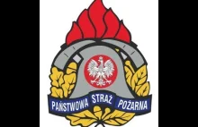 Przejazd kolumny polskich wozów strażackich w Szwecji