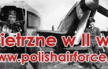 II wojenne relacje lotników polskich i nie tylko :)