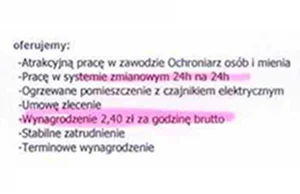 Ogłoszenie o pracę, które oburzyło pół Polski jest prawdziwe? Poznaj...