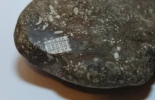 Naukowcy odkryli kamień z "mikroprocesorem" mającym przynajmniej 250 mln lat,