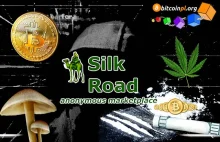 Darknet, Silk Road i Bitcoin. Historia jak z filmu