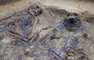 Znaleźli szkielety skrępowane niebieską linką