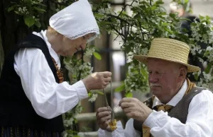 Zmarła ostatnia na świecie osoba mówiąca w języku liwskim