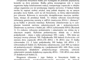 Ciemna strona rybosomu – choroby związane z powstawaniem i funkcją...