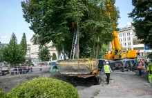 Kraków. Udało się przesadzić ważącą 70 ton, 15-metrową lipę na terenie AGH...
