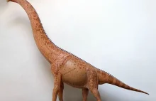 Giraffatitan – rekonstrukcja dinozaura. Jak zbudować dinozaura.