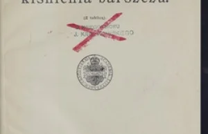 Panek, Kazimierz (1873-1935): Mikroby oraz chemizm kiśnienia barszczu