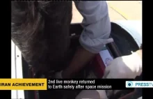 Iran wysłał w kosmos drugą małpę