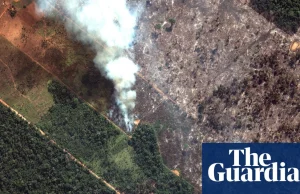 Świetny artykuł The Guardians porządkujący informacje odnośnie pożaru w Amazonii