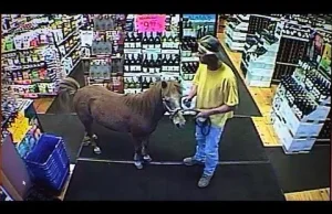 Wszedł do sklepu z koniem - "nie było zakazu" [wideo]