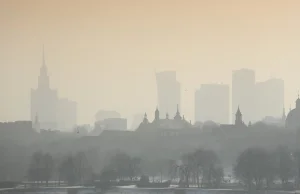 Pozywanie państwa o smog jest bez sensu. Koszty duże, korzyści brak