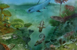 Znaleziono ślady polowania ryb dwudysznych sprzed 400 mln. lat