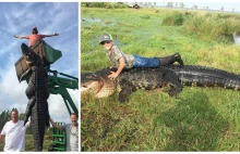Farmerzy złapali gigantycznego aligatora. Zdjęcia i video