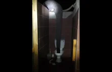 Tymczasem nocą w toalecie w Botswanie