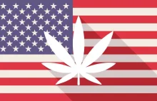 63% Amerykanów popiera legalizację marihuany rekreacyjnej, a 93% marihuany...