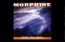 Muzyka słuchana nocą: Morphine - Cure for pain