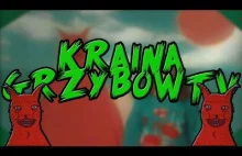 What is KrainaGrzybowTV [EN]