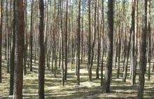 Czy wybory Zarządu Powiatu i Przewodniczącego Rady Powiatu Milickiego są...