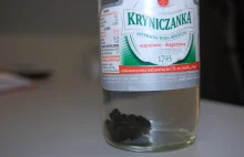 Butelka wody mineralnej "Kryniczanka"z paskudną niespodzianką....