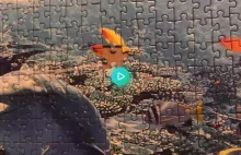 W końcu skończyłem układać puzzle!