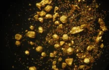Na Zakarpaciu znaleziono ogromne złoża złota