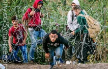 Czeski prezydent: Uchodźców trzeba deportować!