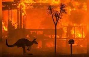 Strażacy z Małopolski rozpoczęli wielką akcję pomocy Australii. Wesprzyj i Ty!