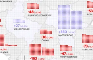 Demografia: Śląsk się wyludnia, ale Mazowsze rośnie