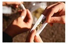 Naukowcy z Izraela stworzyli marihuanę, która nie odurza