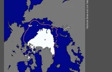 Biała Arktyka znika