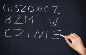 Polski najtrudniejszy język świata?