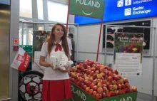 Nawet pomimo Euro 2012 bezrobocie w czerwcu nie spadło