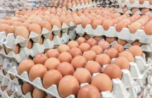 Polskie jajka wrócą na Bliski Wschód. Emiraty Arabskie znoszą zakaz