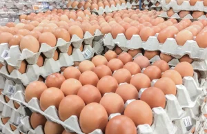 Polskie jajka wrócą na Bliski Wschód. Emiraty Arabskie znoszą zakaz