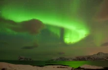 Polowanie na zorzę polarną w Tromsø