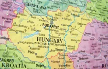 Kompromitacja KOD-owców na Węgrzech. Ledwo 200 osób wrzeszczało bez celu