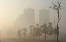 Czym jest smog ? - Budowa i Remont