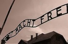 Belg wykonujący eutanazję: jedźmy do Auschwitz na instruktażową wycieczkę