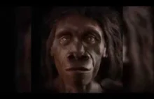 Ewolucja twarzy człowieka na przestrzeni ostatnich 6 milionów lat